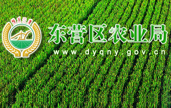 東營區農業局